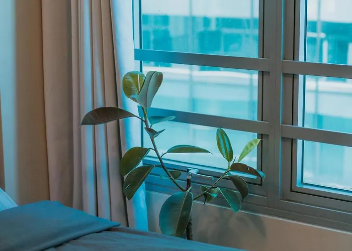 Apartamento Cozy Eastwood W Pool Access, 65inch Tv And Wifi *